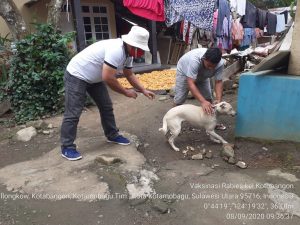 Vaksinasi rabies