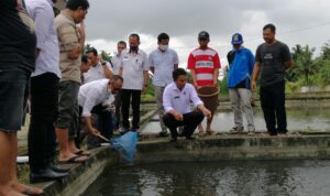 Sekda Tahlis Harap Sistem Bioflok Bisa Meningkatkan Produksi