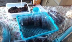 Kopi Saset Milik Eka Paduo Tembus Pasar Luar Daerah