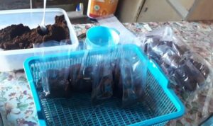 Wah, Penjualan Bubuk Kopi Racikan Eka Paduo Tembus Hingga Keluar Daerah