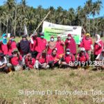 Sukses Dilaksanakan di Desa Tadoy, Sekolah Lapang Petani Program IPDMIP Tanaman Padi Sawah Masuk Pertemuan ke-9