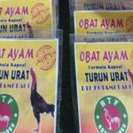 BTF Kotamobagu Milik Konni Balamba Ciptakan Produk Obat Penyakit Ayam Turun Urat