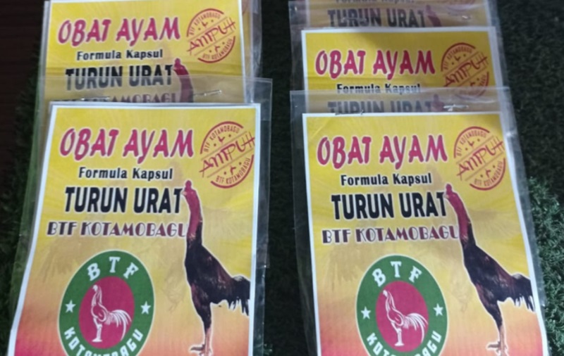 BTF Kotamobagu Milik Konni Balamba Ciptakan Produk Obat Penyakit Ayam Turun Urat