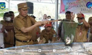 Pemda Bolsel Dorong Kelompok Masyarakat Budi Daya Ikan Nila Sistem Bioflok